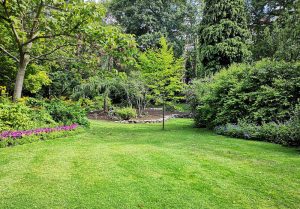 Optimiser l'expérience du jardin à Jailly-les-Moulins